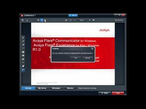 Avaya Flare Experience Conference Collaboration