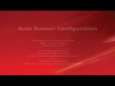Basic Programming For Avaya One-X Agent With Auto Answer Support