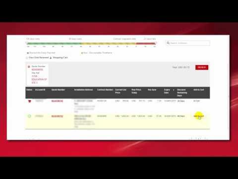 Avaya Renewals Portal - Multiple Contract Renewals With Credit Card