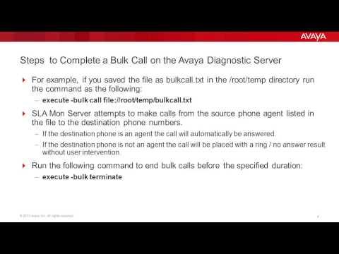 How To Complete A Bulk Call On The Avaya Diagnostic Server