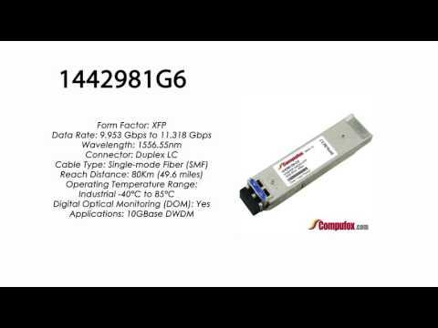 1442981G6 | Adtran Compatible 11.3G DWDM XFP 1556.55nm 80km LC