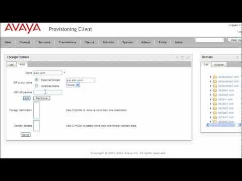How To Manage Client Foreign Domains On An Avaya AS5300