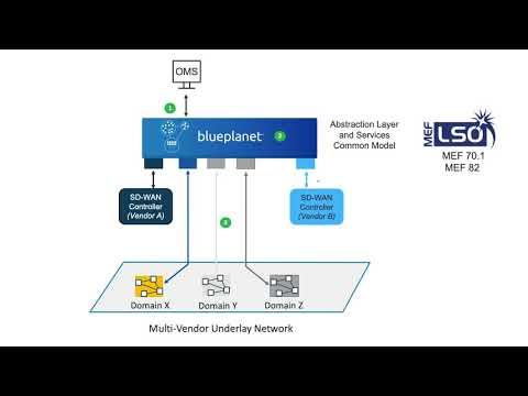 Solution Overview: Blue Planet SD-WAN Automation