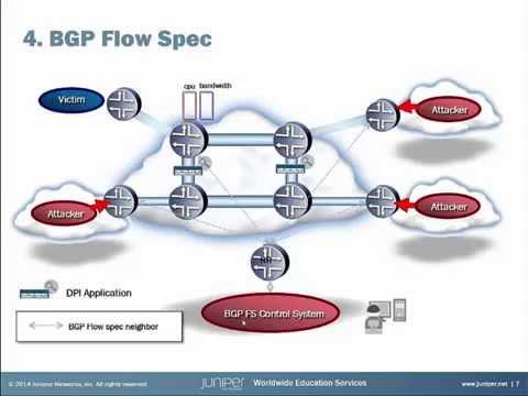 DDoS Mitigation Using BGP Flow Spec (Korean Language)