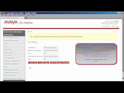 How To Get Your Secure Access Link Gateway Online With Avaya