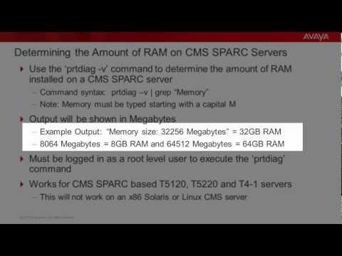 Determining The Amount Of RAM In CMS SPARC Servers