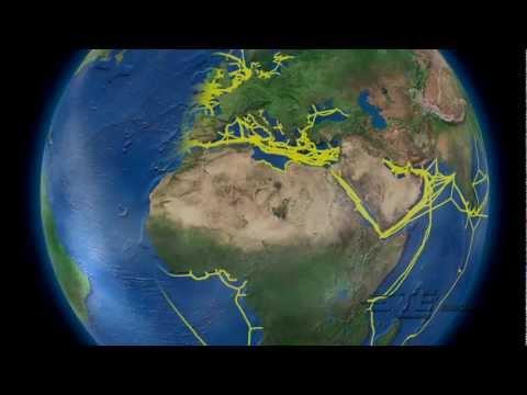 TE SubCom - Repeaterless Undersea Cable Networks