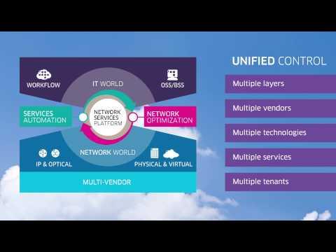Alcatel-Lucent Network Services Platform: Carrier SDN For The On-demand Network