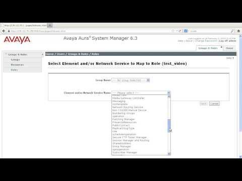 Role Based Access Control In Avaya Session Manager