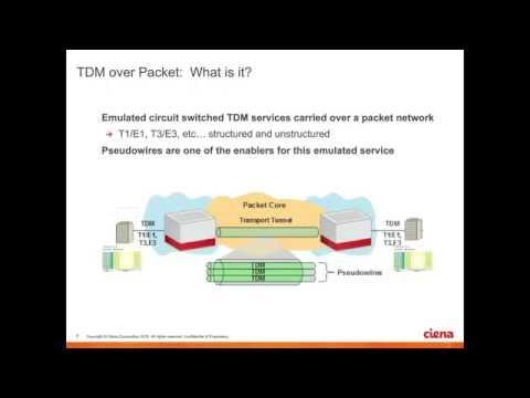 Trailblazing Legacy Services Over Packet Networks