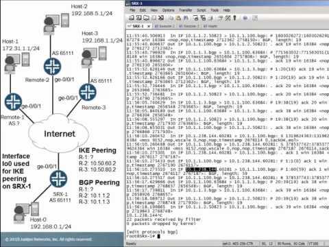 Implementing BGP Over IPsec