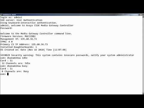 How To Display The Number Of Avaya CS 1000 Digital Signal Processor Channels
