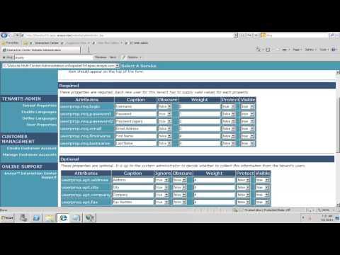 How To Customize Metadata Variables In Avaya Interaction Center