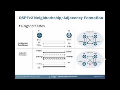 OSPFv2 Neighborships Vs Adjacencies On Broadcast/NBMA Networks