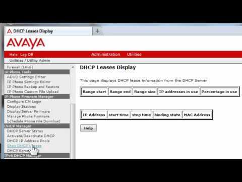 How To Setup The Avaya Communication Manager Utility Server IPv4 DHCP Server