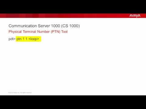 How To Use The Avaya CS 1000 PTN Tool