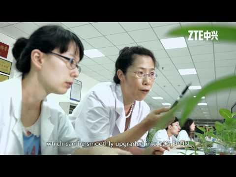 Wuhan Telecom With ZTE