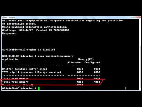 Re-allocating Avaya Gateway Memory For Use By The Sniffer Capture Service