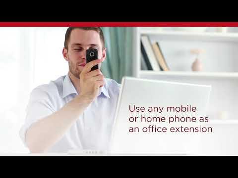 Avaya IP Office In The Cloud | Mobility