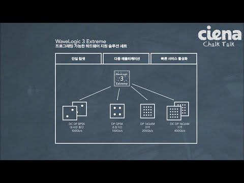 Chalk Talk: Ciena's WaveLogic 3 Extreme Coherent Chipset [Korean]