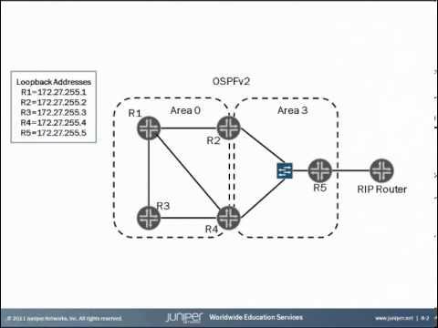 Router IDs