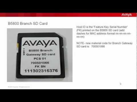 How To Deploy A PLDS License File On An Avaya B5800 Branch Gateway R6.1