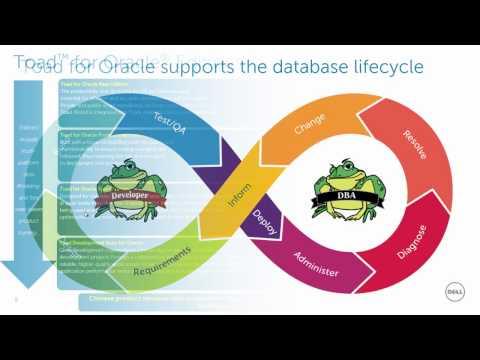 Learn About The Benefits Provided By Toad For Oracle Xpert Edition