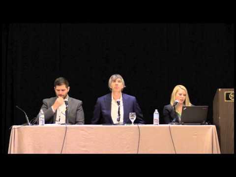 South Wireless Summit Regulatory Panel