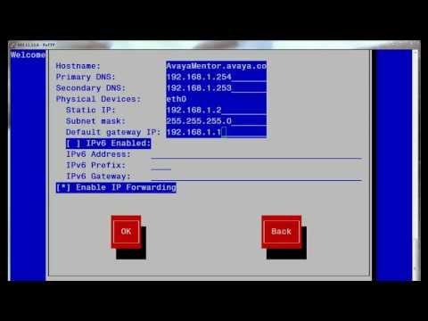 Implementing IPv6 Within A System Platform Environment