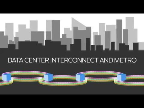 Connectivity Services Director: Converging IP & Optical Management