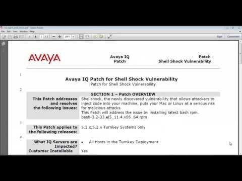 Avaya IQ Bash Shellshock Remediation