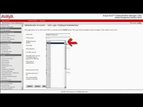 How To Add A Profile 18 User In CM For Avaya Contact Center Control Manager Integration