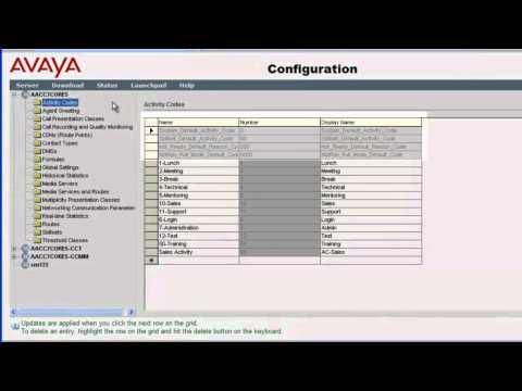 How To Add, Modify And Delete Activity Codes In Avaya Aura Contact Center