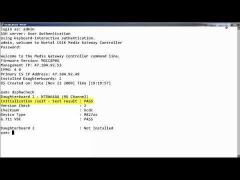 How To Perform A Basic Avaya CS 1000 DSP Hardware Diagnostic Check