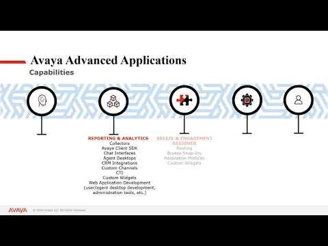 Avaya Professional Services Advanced Applications
