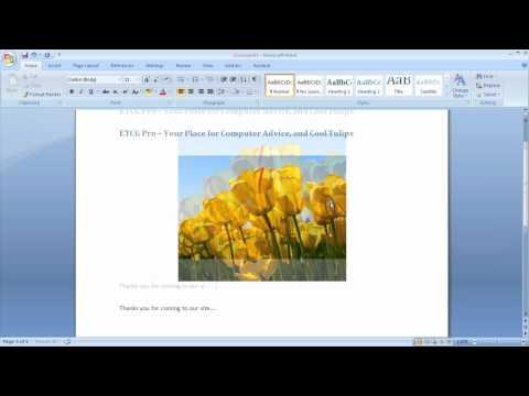 Using Microsoft Word To Build Websites