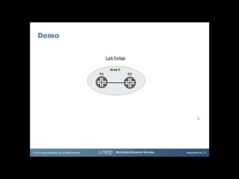 OSPFv2 Neighbor Adjacency/Timers