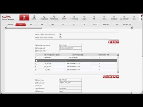 How To Verify Business Advocate Feature In Avaya Contact Center Control Manager - CM Integration