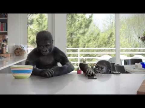 Corning® Gorilla® Glass 4: Counter Attack