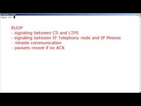 How To Display The Active Avaya CS 1000 RUDP Connections