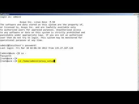 How To Access The Reverse Proxy Server For An Avaya CS 1000
