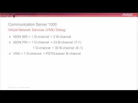 How To Turn On The Avaya CS 1000 Virtual Network Services Debug Tool