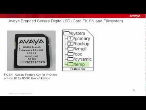 Avaya IP Office And Avaya B5800 Branch Gateway SD Card Management