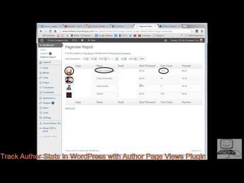 Track Author Stats In WordPress With Author Page Views Plugin