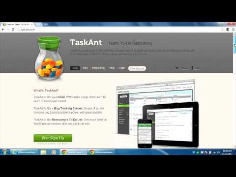 TaskAnt For Web Based Team Task Management