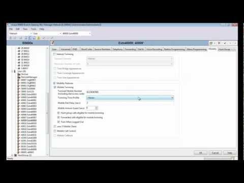 How To Configure Mobile Twining On An Avaya B5800 Extension