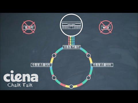 Chalk Talk: Ciena's Coherent Select Architecture [Korean]