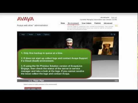 How To Backup And Restore The AvayaLive Engage Server